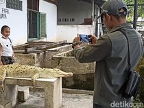 Deretan Wisata Kebun Binatang di Sumut Saat Libur Sekolah