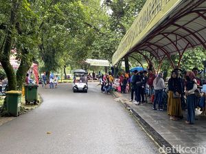 Hujan Tak Kurangi Minat Warga Jalan-jalan ke Ragunan