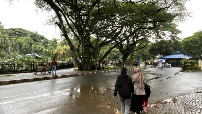 Taman Margasatwa Ragunan