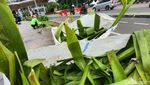 Taman yang Rusak di Bundaran HI Diperbaiki