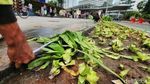 Taman yang Rusak di Bundaran HI Diperbaiki
