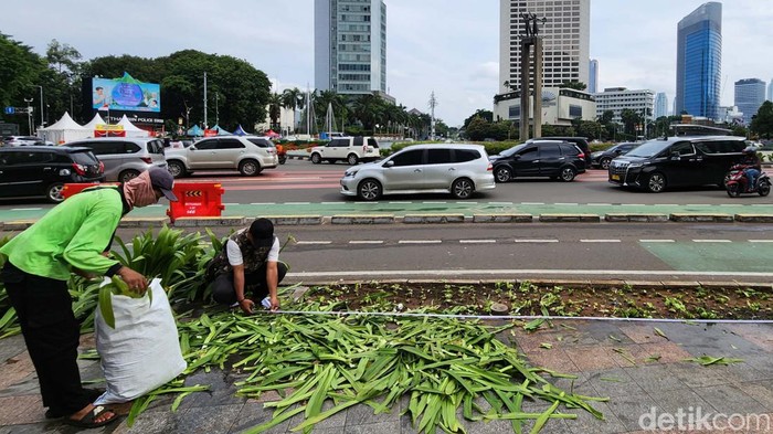 Taman di kawasan Bundaran HI Jakarta rusak akibat terinjak-injak warga yang merayakan pergantian tahun. Taman tersebut kini tengah diperbaiki.