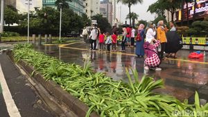 Warga Kaget Tanaman Sekitar Bundaran HI Rusak Usai Perayaan Tahun Baru
