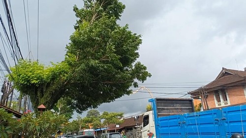 Angin kencang menerjang pohon perindang di pinggir Jalan Denpasar-Gilimanuk, Badung, Bali, Senin (2/1/2023) sore.