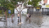 Sejumlah warga terlihat memanfaatkan banjir untuk mencari ikan. Foto: Afzal Nur Iman/detikJateng