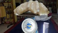 Mutiara senilai US$ 100 juta ini ditemukan nelayan di Puerto Princesa City, Filipina. Awalnya dia kira jangkarnya tersangkut di batu, ternyata mutiara sepanjang 2 kaki.