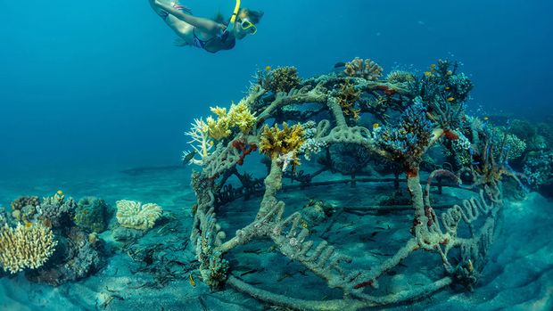 Desa Wisata Pemuteran, Bali Desa Wisata Pemuteran, Bali