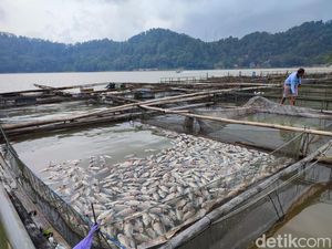 Hasil Uji Telaga Ngebel, Ikan Mati Karena Air Jadi Asam gegara Belerang
