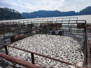 Penjelasan Pakar Geologi ITS Soal Fenomena Gas Belerang Telaga Ngebel