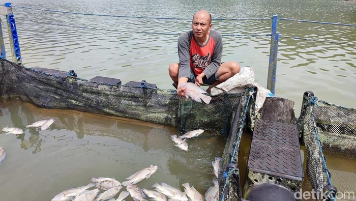 ikan mati telaga ngebel