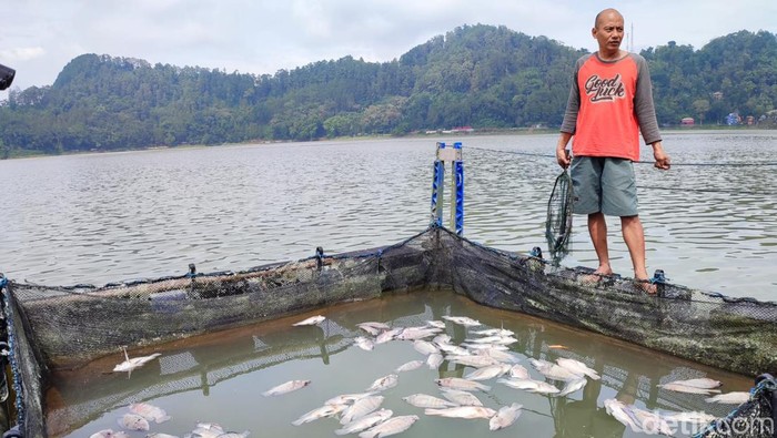 ikan mati telaga ngebel