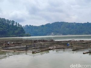 Petani Keramba Telaga Ngebel Sudah Diingatkan Soal Bahaya Gas Belerang
