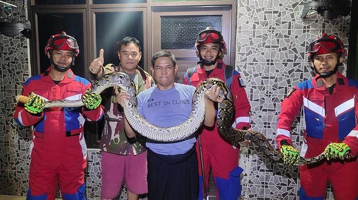 Lagi di toilet, warga Ciracas tertimpa ular 3,5 meter dari plafon (Dok Instagram @humasjakfire)