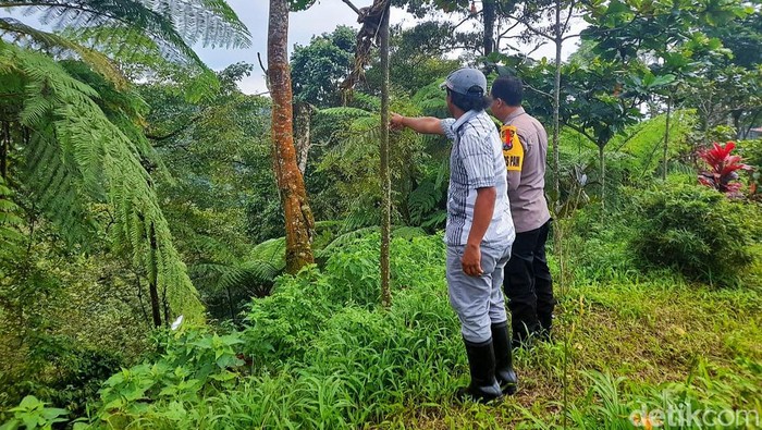 macan tutul di banyuwangi