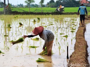 Kehidupan Manusia Dipengaruhi Cuaca dan Iklim, Valid No Debate