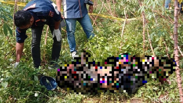 Penemuan mayat di kebun ubi di Deli Serdang.