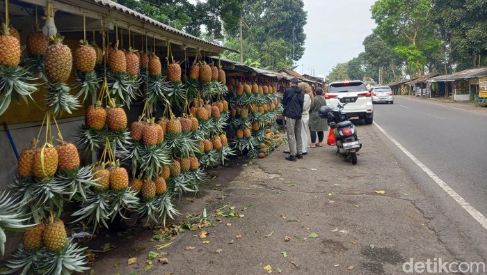 Penjualan nanas simadu di Subang.