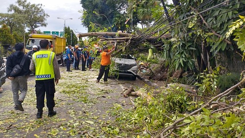 Pohon tumbang menimpa mobil di Jalan Bypass Ngurah Rai, Denpasar akibat angin kencang, Senin (2/1/2023).