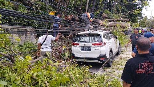 Proses evakuasi pohon tumbang di Jalan Bypass Ngurah Rai, Denpasar, Bali, Senin (2/1/2023).