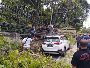 Cuaca Ekstrem, Pohon Tumbang Timpa Mobil di Bypass Ngurah Rai Denpasar