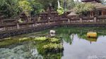 Cari Spot Terbaik Pura Tirta Empul? Lihatlah Kolam Sumber Airnya