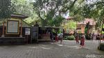 Cari Spot Terbaik Pura Tirta Empul? Lihatlah Kolam Sumber Airnya