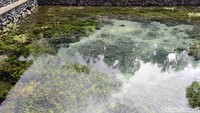 Inilah kolam utama sumber air Pura Tirta Empul. Mata air di Pura Tirta Empul menyembur perlahan membuat pasir di sekelilingnya seperti hidup dan berdebar.