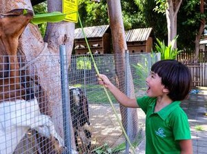 5 Sekolah Alam di Bali Beserta Kegiatan Belajar dan Fasilitasnya