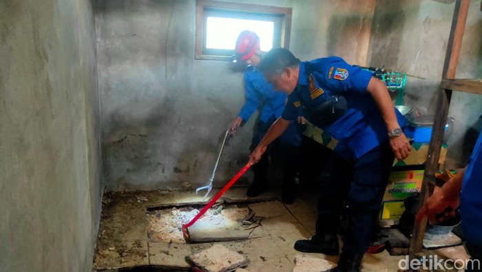 Ular kobra tuban