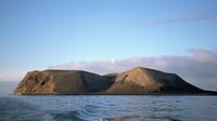 Pulau ini hanya diisi tanah vulkanik sehingga pulau tersebut hanya dibuka kepada para peneliti yang sangat profesional. (Nik Wheeler/Getty Images)  