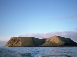 7 Pulau Menyeramkan yang Terlarang Didatangi Orang