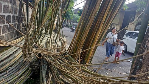Bambu bahan penjor yang dijual di pinggir Jalan Melati, Banjar Gerokgak Tengah, Desa Delod Peken, Tabanan, Bali. (chairul amri simabur/detikBali)