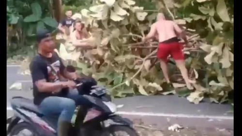 Aksi beberapa bule membereskan pohon tumbang di Sibanggede, Badung, Bali karena jalan mereka terhalangi, Senin (2/1/2023).