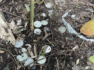 Kutukan Nyata dari Kuburan Terunyan Bali kepada Bule Nakal