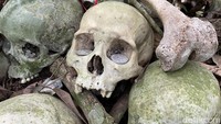 Seorang bule nakal merasakan kutukan nyata setelah melanggar norma di kuburan terbuka di Desa Terunyan atau Trunyan, Bali. Ia langsung kembali ke desa mengembalikan segera setelah mengalami kejadian mistis.