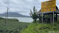 Jadi, traveler yang datang ke Desa Terunyan jangan lupa membawa baju tebal ya.