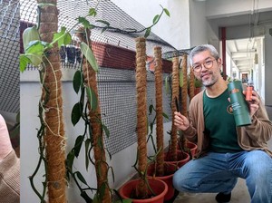 Keren! Pria Indonesia Ini Punya 40 Tanaman Vanilla di Lorong Rusun Singapura