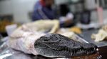 Kuliner Eksotis di Pasar Meksiko, Kalajengking hingga Daging Rusa