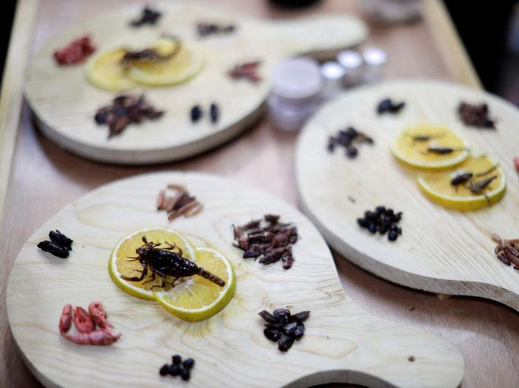 Kuliner Eksotis di Pasar Meksiko, Kalajengking hingga Daging Rusa