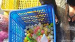 Lato-lato, Viral dan Cuan