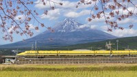 Jepang akan memberlakukan tes COVID-19 negatif untuk pelancong dari daratan China mulai 30 Desember 2022. (Getty Images)