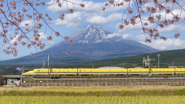Jepang akan memberlakukan tes COVID-19 negatif untuk pelancong dari daratan China mulai 30 Desember 2022. (Getty Images) Jepang akan memberlakukan tes COVID-19 negatif untuk pelancong dari daratan China mulai 30 Desember 2022. (Getty Images)