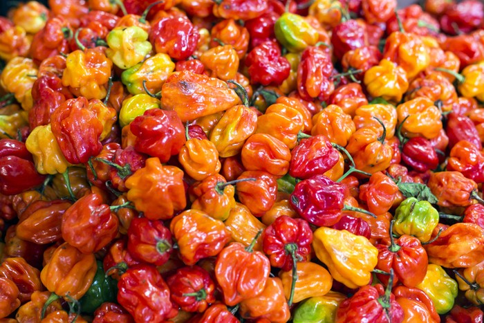 Pencinta Pedas Wajib Cicip 7 Jenis Cabe Ini Minimal Sekali Seumur Hidup