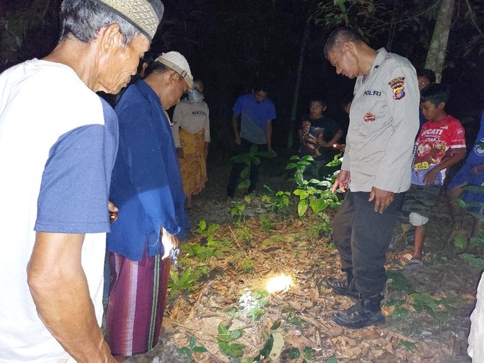 Pria di Kukar menemukan bayi di kebun ternyata bayi hasil hubungan gelap dari putrinya.