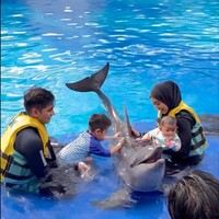 Baby Moana juga diajak untuk bertemu dan menyentuh langsung lumba-lumba. Tanpa menangis, Moana terlihat begitu berani menyentuh lumba-lumba yang ada di dekatnya. Foto: Instagram/@riaricis1795