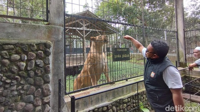 Taman Satwa Cikembulan Garut.