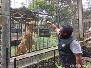 Satwa Taman Wisata Cikembulan Libur Selama Ramadhan 2023
