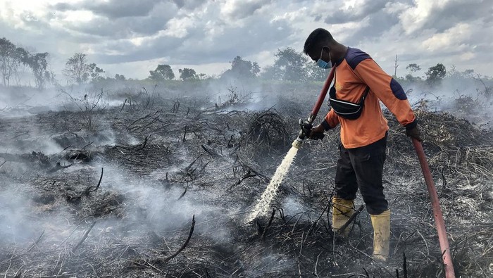 UPAYA PEMADAMAN KARHUTLA GAMBUT DI PANGKALAN BUN Foto udara areal lahan gambut yang terbakar di Desa Natai Baru, Pangkalan Bun, Kotawaringin Barat, Kalimantan Tengah, Senin (2/1/2023). Berdasarkan data BPBD Kotawaringan Barat kebakaran hutan dan lahan (karhutla) di desa tersebut mencapai 20 hektare dengan tiga titik lokasi api dan sebanyak lima hektare lahan diantaranya berhasil dipadamkan oleh tim gabungan BPBD, Damkar, PMI serta para relawan. ANTARA FOTO/Ario Tanoto/mz/wsj.