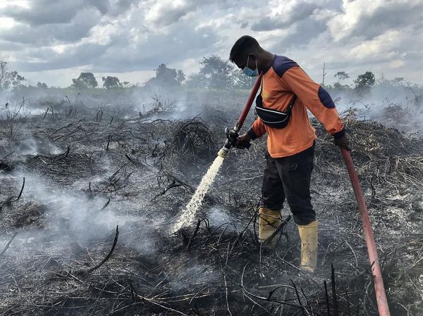 Potret Perjuangan Damkar Padamkan Kebakaran Lahan Gambut di Kalteng