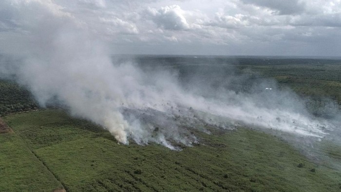 Foto udara areal lahan gambut yang terbakar di Desa Natai Baru, Pangkalan Bun, Kotawaringin Barat, Kalimantan Tengah, Senin (2/1/2023). Berdasarkan data BPBD Kotawaringan Barat kebakaran hutan dan lahan (karhutla) di desa tersebut mencapai 20 hektare dengan tiga titik lokasi api dan sebanyak lima hektare lahan diantaranya berhasil dipadamkan oleh tim gabungan BPBD, Damkar, PMI serta para relawan. ANTARA FOTO/Ario Tanoto/mz/wsj.